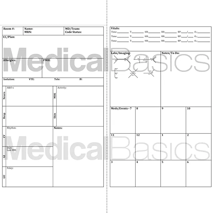 Bulk Order - Brain Sheet Pocket Notebook