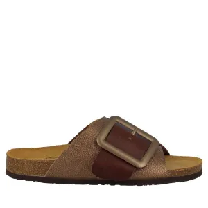 Plakton 185964 Brown Slides